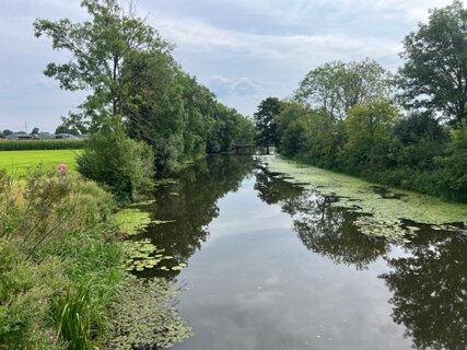 29: IMG_6766<br>We liepen de brug in de verte over.