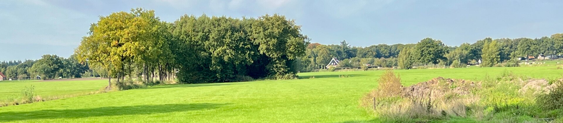 Klik om de knoppen te tonen of te verbergen