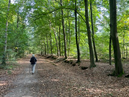 1: IMG_7204<br>Het Nijreesbos