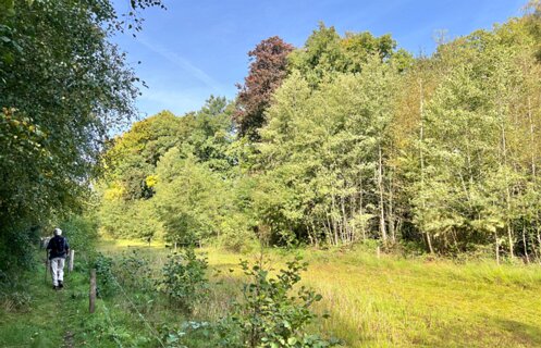 6: IMG_7210<br>Langs de drooggevallen Doorbraak