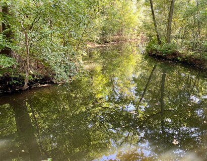 8: IMG_7212<br>De Doorbraak