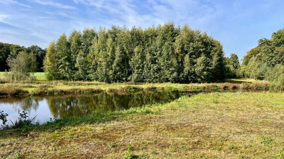 11: IMG_7217<br>De Doorbraak