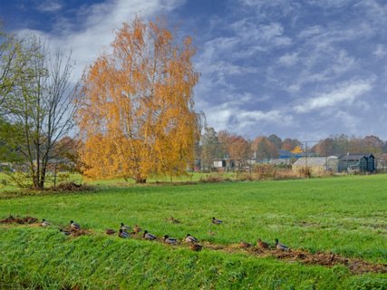 11: 231117-113109_OmmetjeSchelfhorst