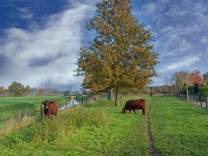 13: 231117-113436_OmmetjeSchelfhorst