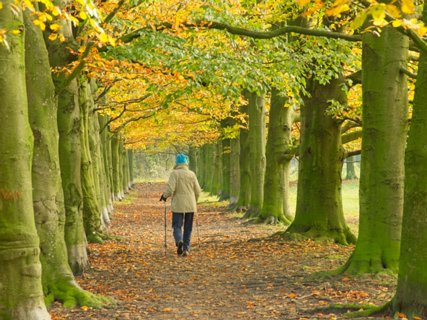 14: 231117-114135_OmmetjeSchelfhorst