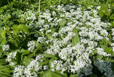 3: IMG_6411<br>Daslook