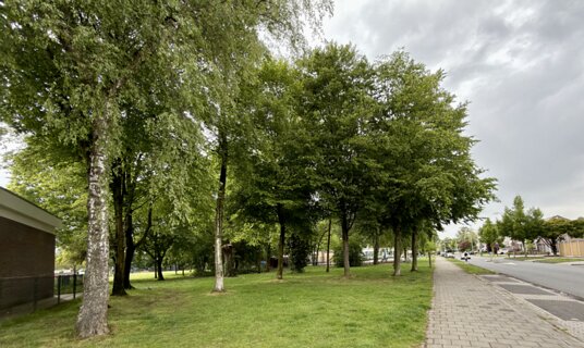 6: IMG_0635
