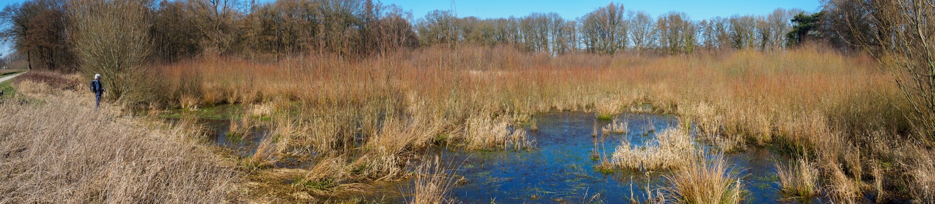 Klik om de knoppen te tonen of te verbergen