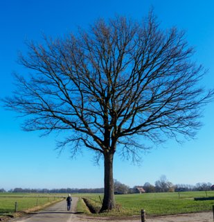 2: 210302-120645_DeurningenW