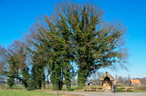 3: 210302-121122_DeurningenW