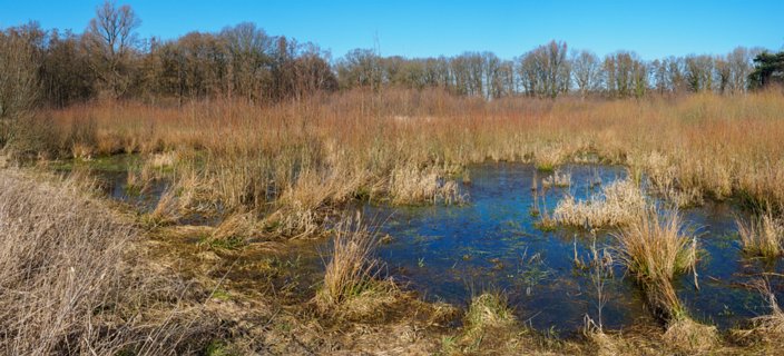 9: 210302-125115_DeurningenW-Pano