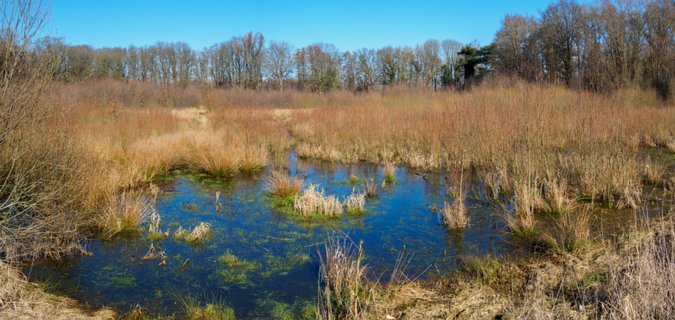 10: 210302-125200_DeurningenW-Pano