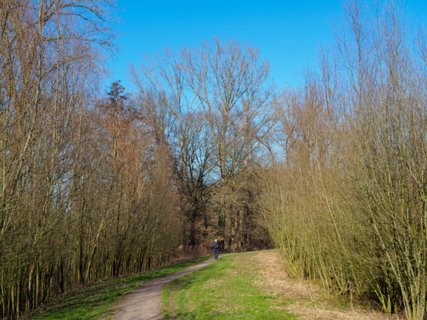 13: 210302-130425_DeurningenW