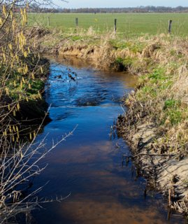 15: 210302-131116_DeurningenW<br>Gammelkerbeek