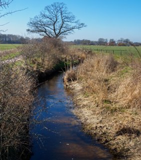 16: 210302-131449_DeurningenW<br>Gammelkerbeek