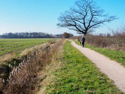 17: 210302-131546_DeurningenW