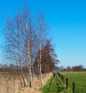 18: 210302-133635_DeurningenW