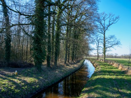 19: 210302-134656_DeurningenW<br>We gaan hier linksaf en nemen afscheid van de Gammelkerbeek