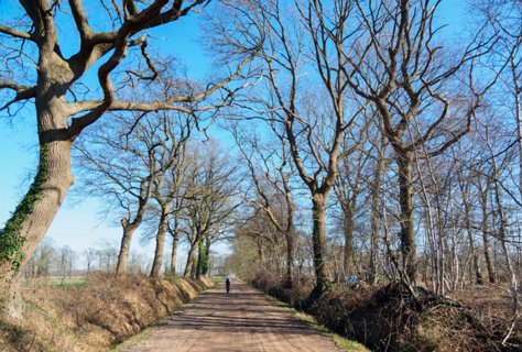 20: 210302-135212_DeurningenW