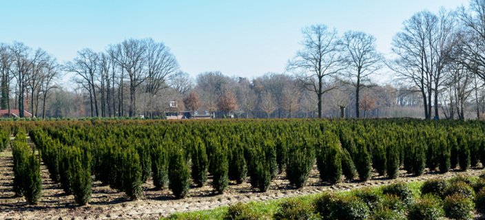 21: 210302-135732_DeurningenW-Pano<br>Overal zijn hier percelen van Boomkamp