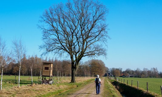 25: 210302-142650_DeurningenW