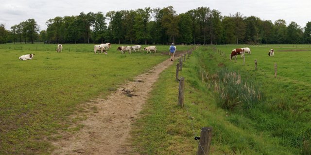 2: Delden_140504_1050_2
