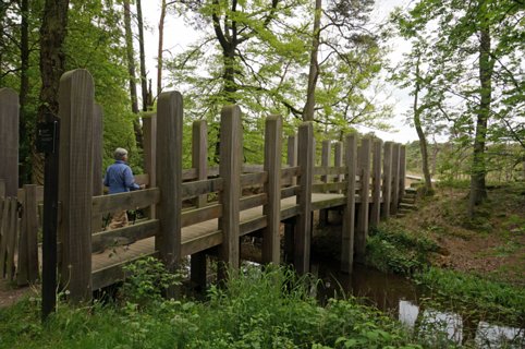8: Delden_140504_1106