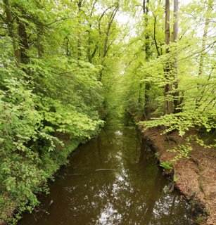9: Delden_140504_1106A_2