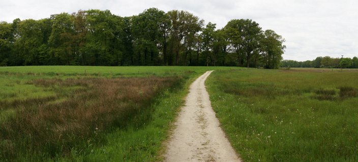 12: Delden_140504_1119_2