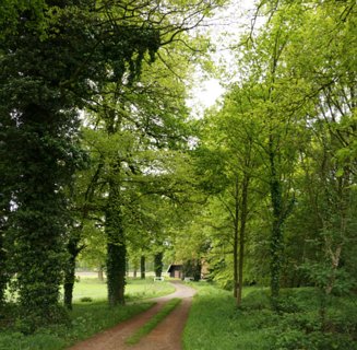 15: Delden_140504_1143_2