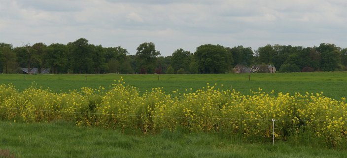 18: Delden_140504_1153_3