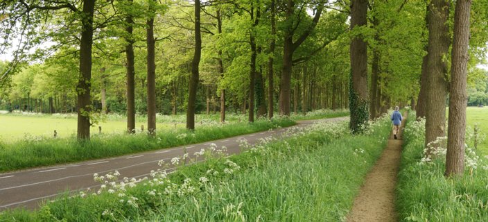 19: Delden_140504_1201A_2