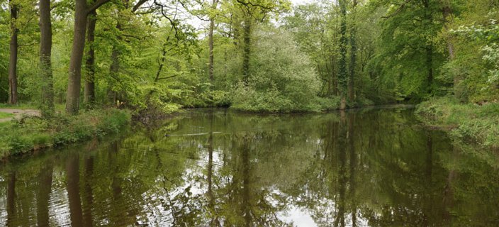 24: Delden_140504_1218A_2