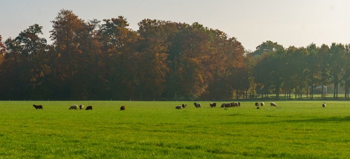 4: 151101-130441_Twickel