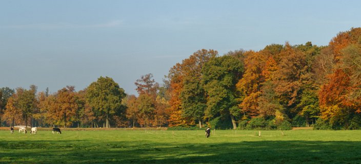 6: 151101-130906_Twickel-Pano