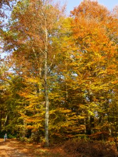 7: 151101-131055_Twickel