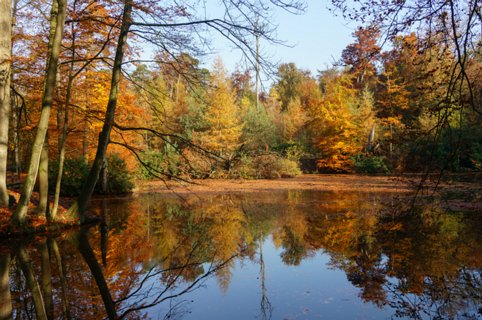 10: 151101-132149_Twickel