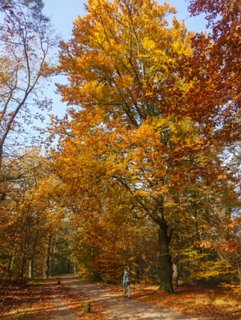 12: 151101-134523_Twickel