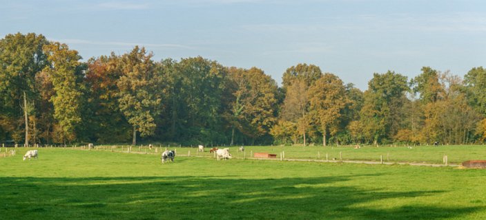 13: 151101-135259_Twickel-Pano