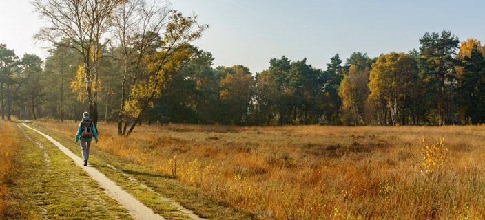 15: 151101-135606_Twickel-Pano