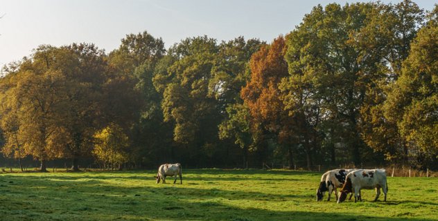 16: 151101-135913_Twickel