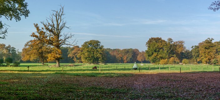 17: 151101-140402_Twickel-Pano