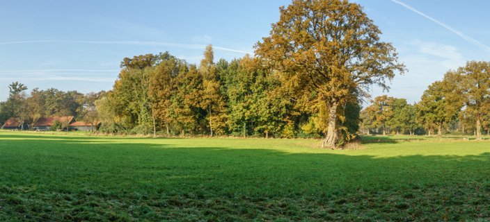 23: 151101-142538_Twickel-Pano