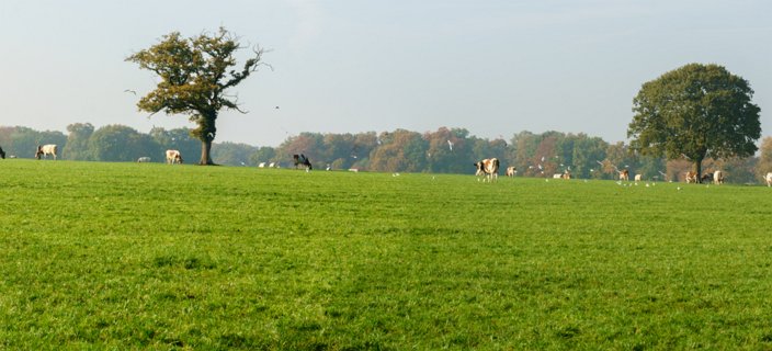 24: 151101-143110_Twickel-Pano<br>Delderner Es