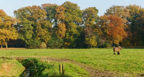 29: 151101-144855_Twickel