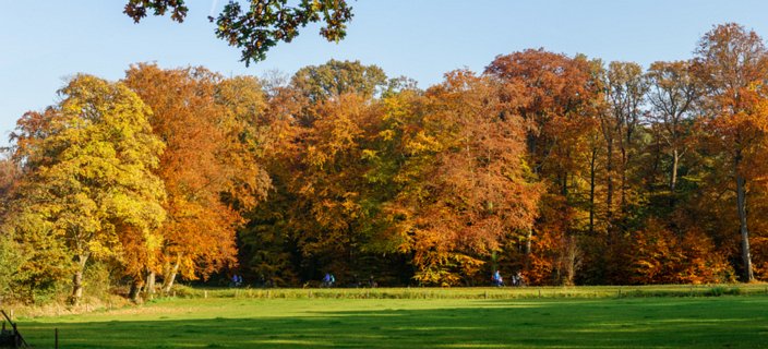 31: 151101-145326_Twickel-Pano