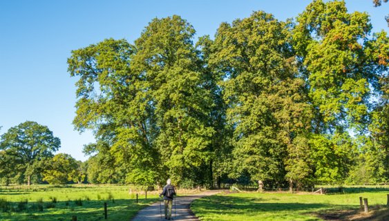 13: 241004-114449_Twikkel