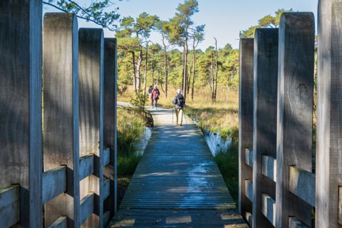 15: 241004-120301_Twikkel