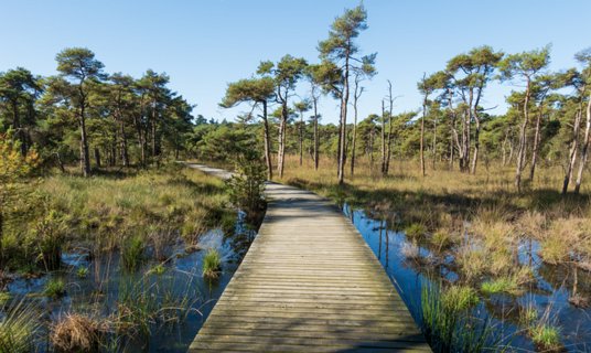 16: 241004-120531_Twikkel