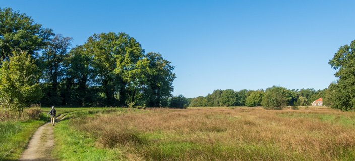 17: 241004-121942_Twikkel